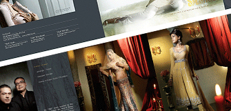 buyer_graphics_Use Your Brain