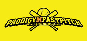 buyer_logo_Windosoft